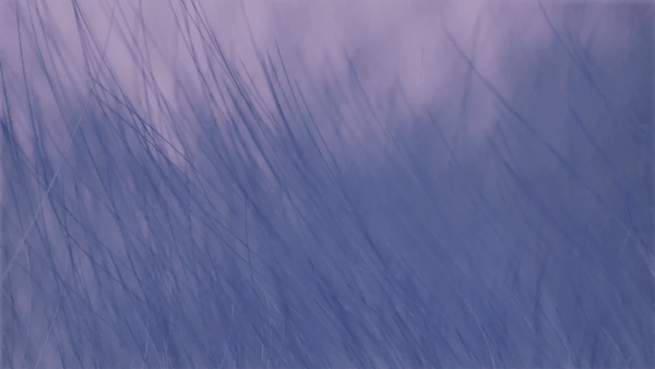 Close up test of hair simulation