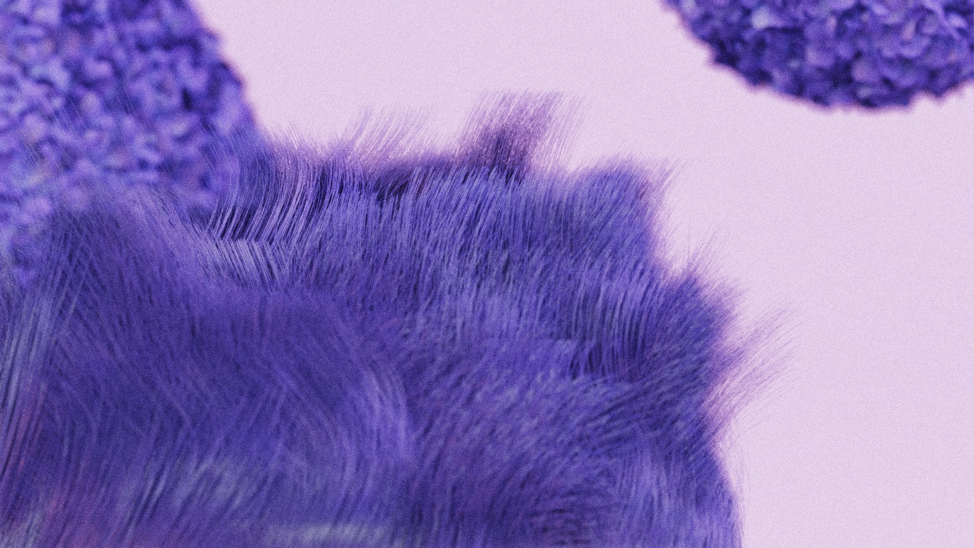 Styleframe of abstract, 3D hair simulation